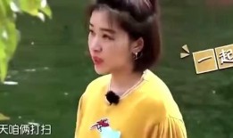 台湾娱乐圈爆料艺人,明星幕后故事大曝光